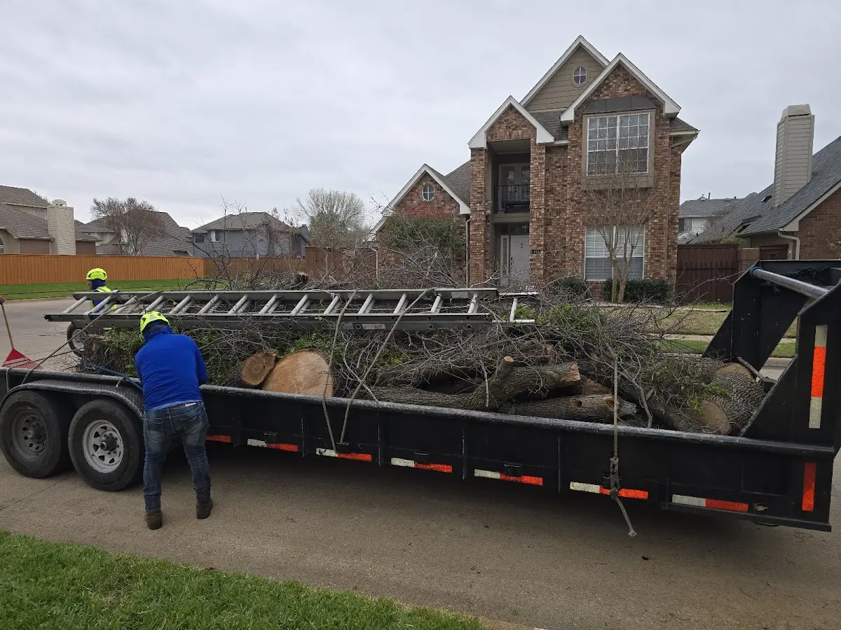 Expert Tree Removal with proper safety equipment in Hutchins